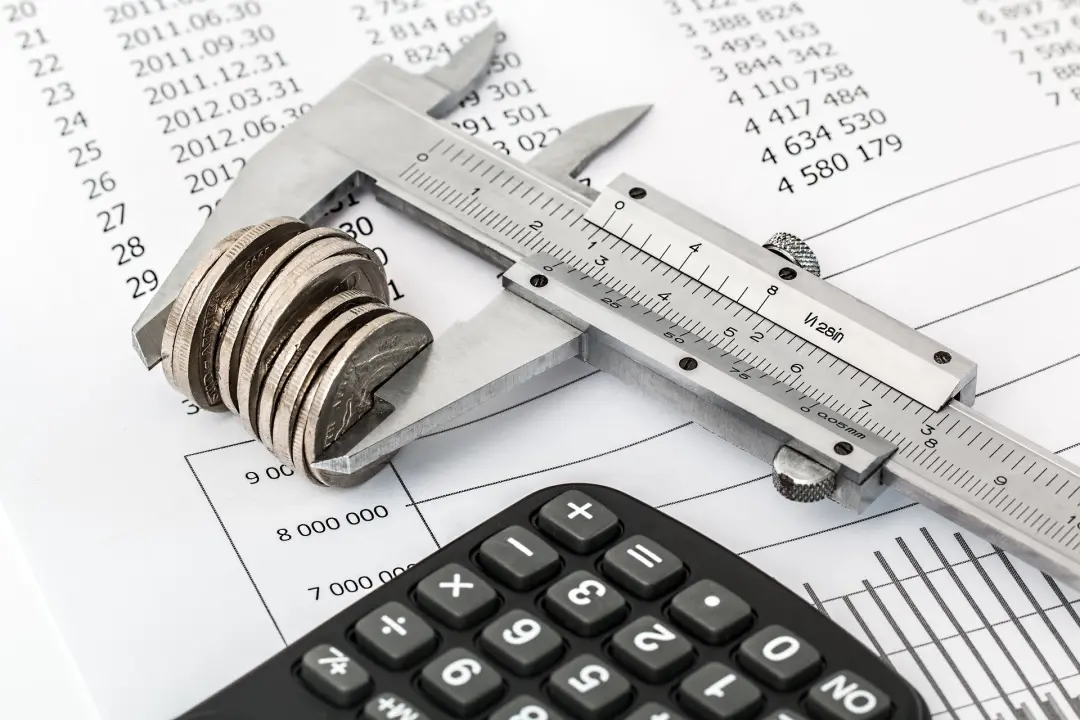 PROJECT MANAGEMENT AND MANAGING THE BUDGET 